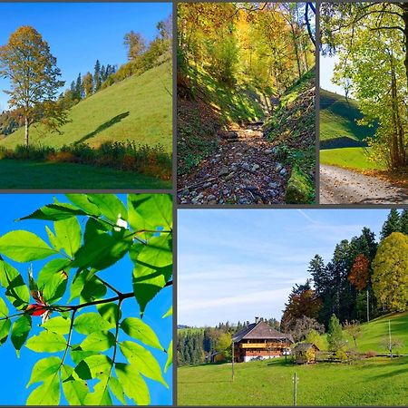 Apartmán Emmental Ferien Langnau Exteriér fotografie