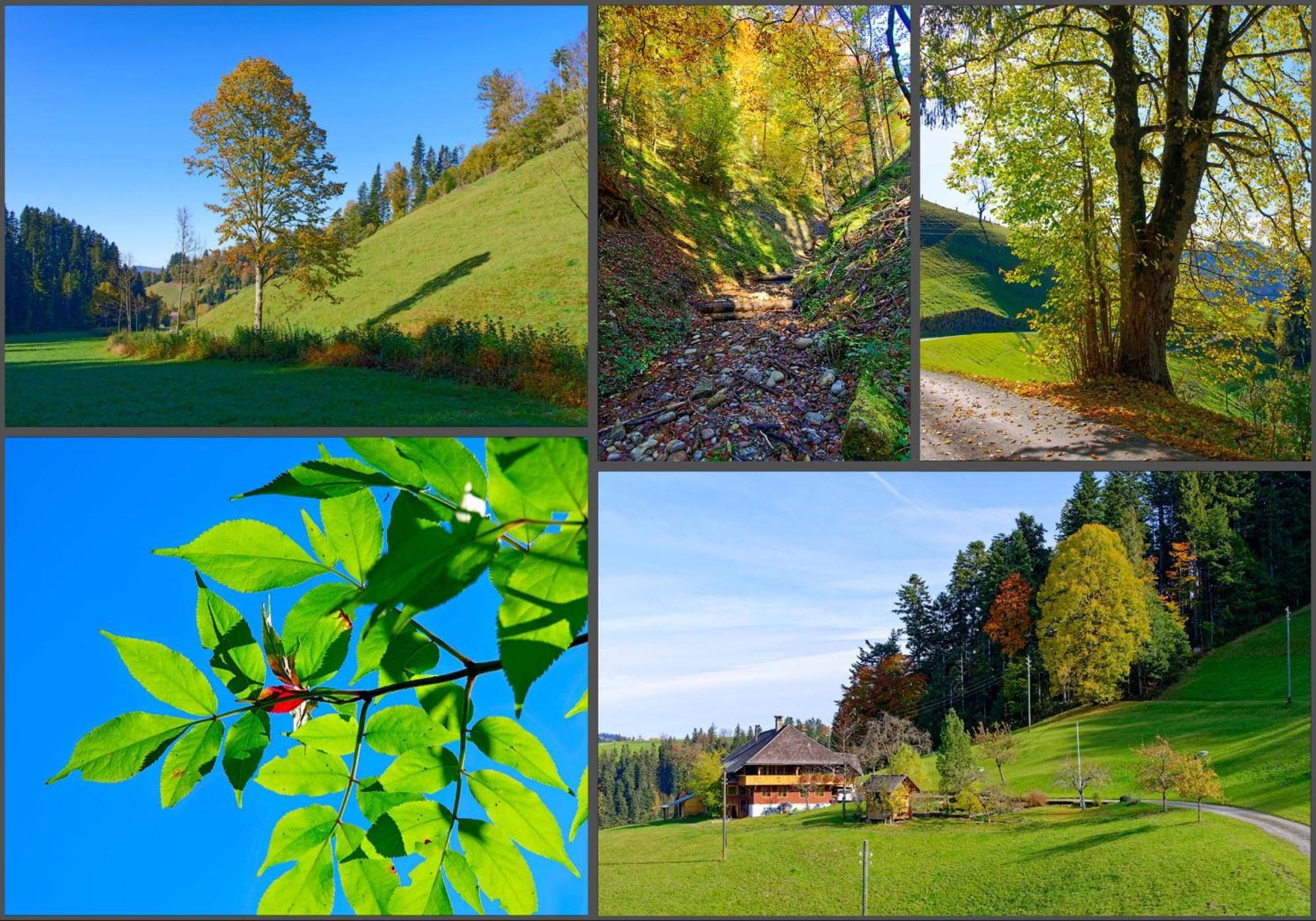 Apartmán Emmental Ferien Langnau Exteriér fotografie